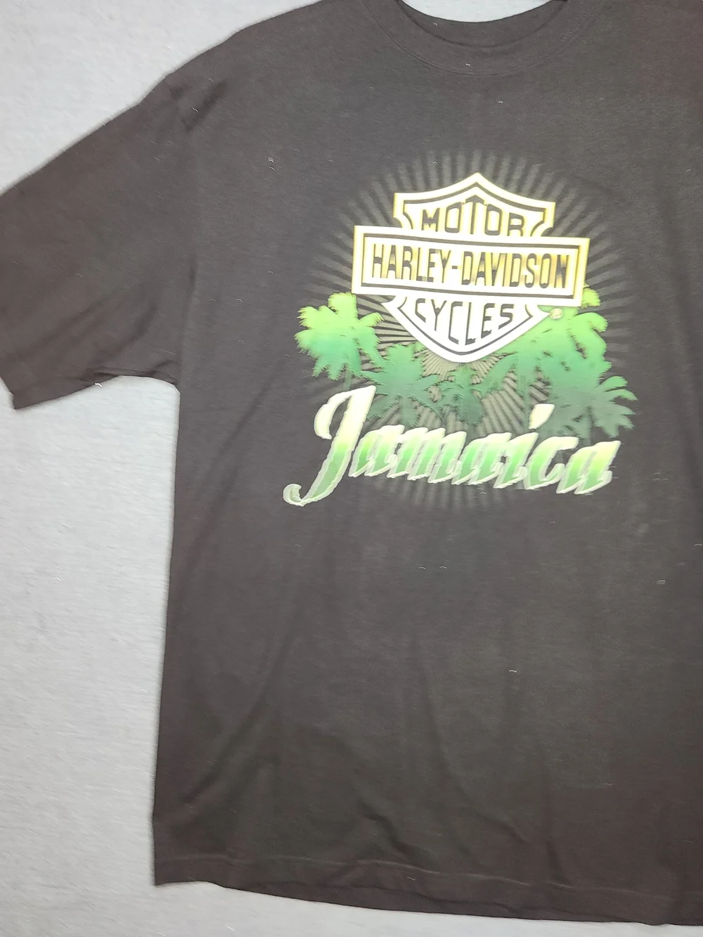 Harley-Davidson Black Tee with Green and Yellow Palm Graphic #287